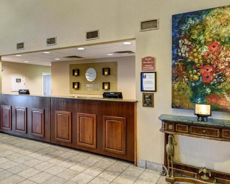 Comfort Inn & Suites Hot Springs Central Eksteriør billede